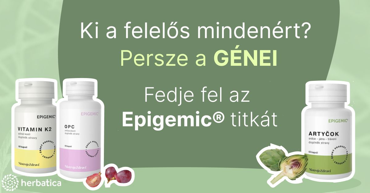 epigemic 